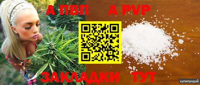 ALPHA PVP Канаш