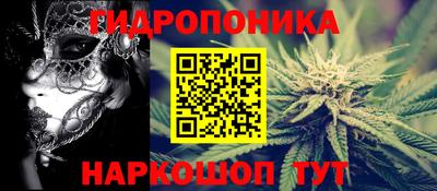 гидра Камышлов