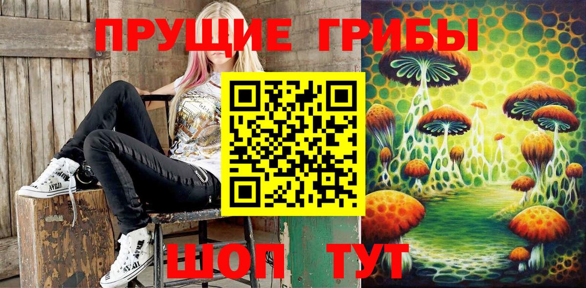 Псилоцибиновые грибы MAGIC MUSHROOMS Кудымкар