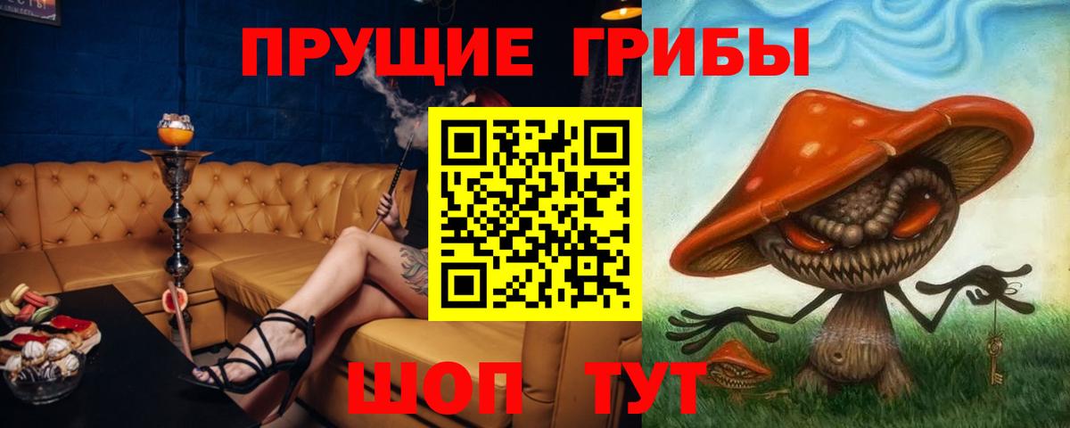 Галлюциногенные грибы GOLDEN TEACHER  Вход с VPN  Кудымкар 